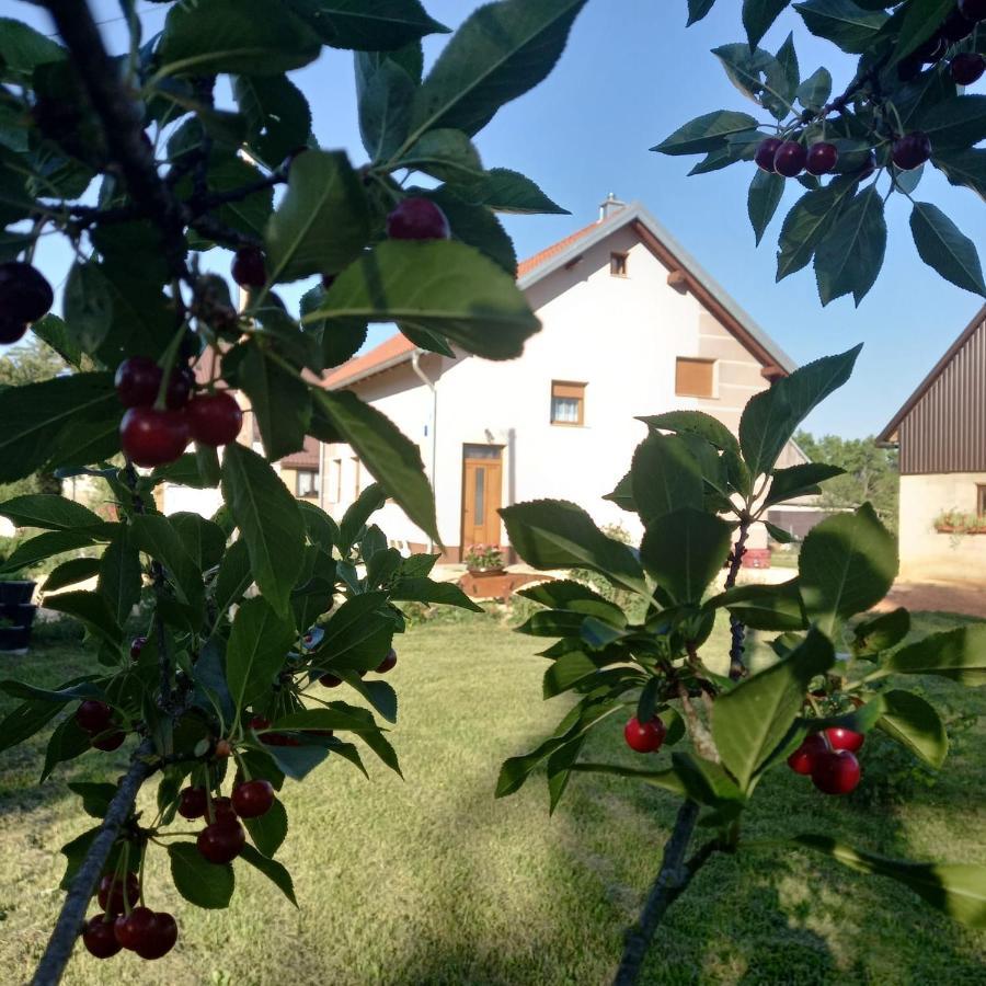 Vila Kuca Za Odmor Boki Gospić Exteriér fotografie